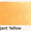 B106 Brilliant Yellow/Φωτεινό Κίτρινο - 40ml