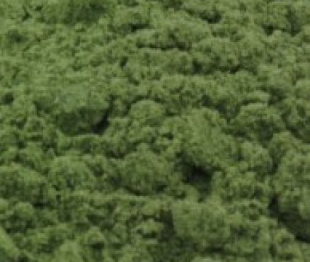 N.1100 Πράσινο Βερόνας Φυσικό-50γρ