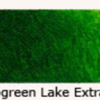 B292 Sap Green Lake Extra/Πράσινο Χυμού Δέντρο Διάφανο - 40ml